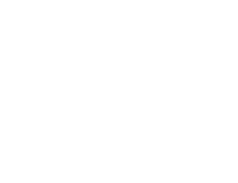 Murciélagos Málaga — inicio