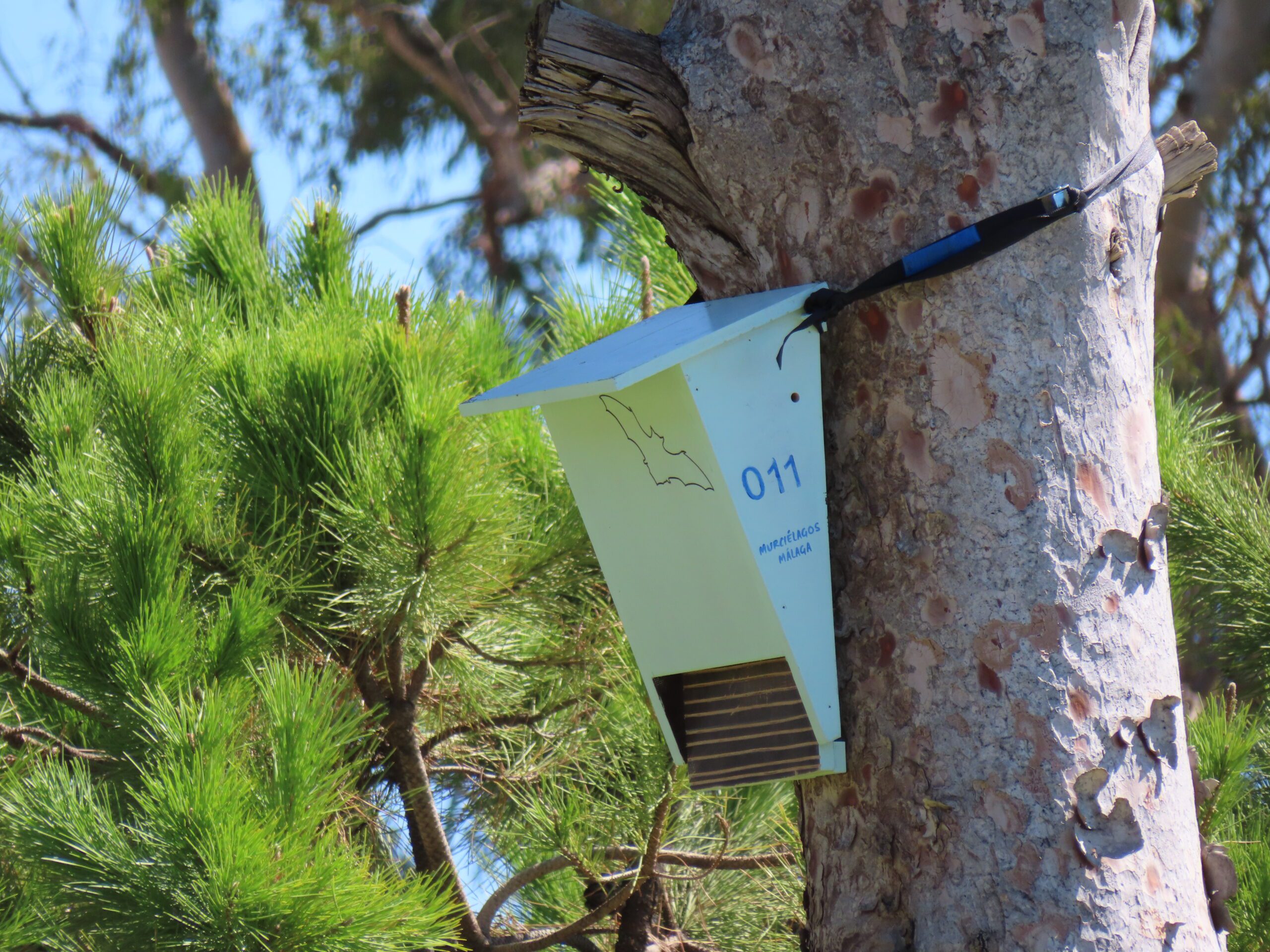 Refugio triangular de madera MuMa, identificado con el número 011 e instalado en el tronco de un pino.