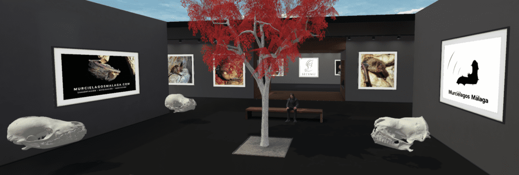 Museo Virtual Murciélagos Málaga
