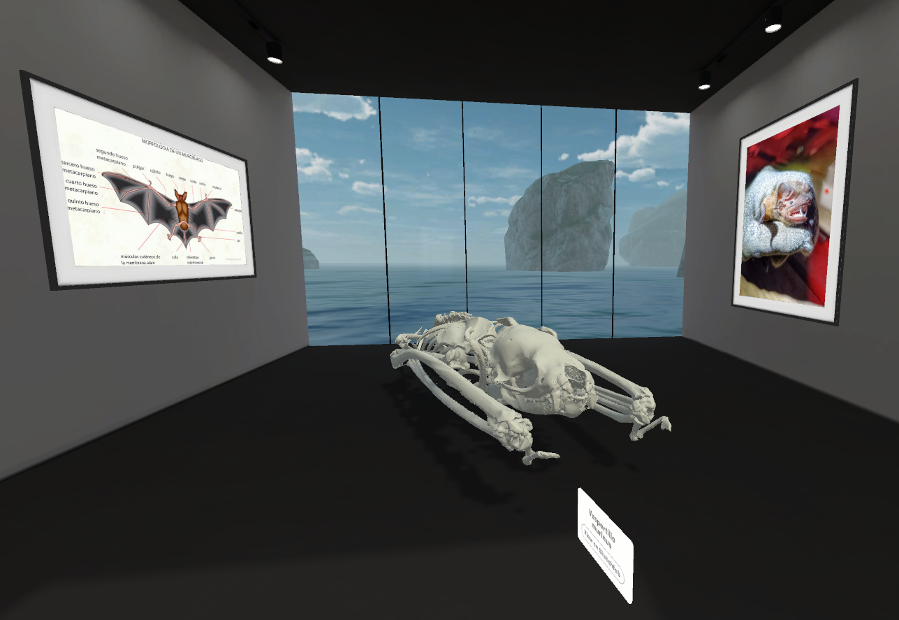 Sala del antiguo Museo Virtual MuMa con un esqueleto tridimensional y contenidos anatómicos.