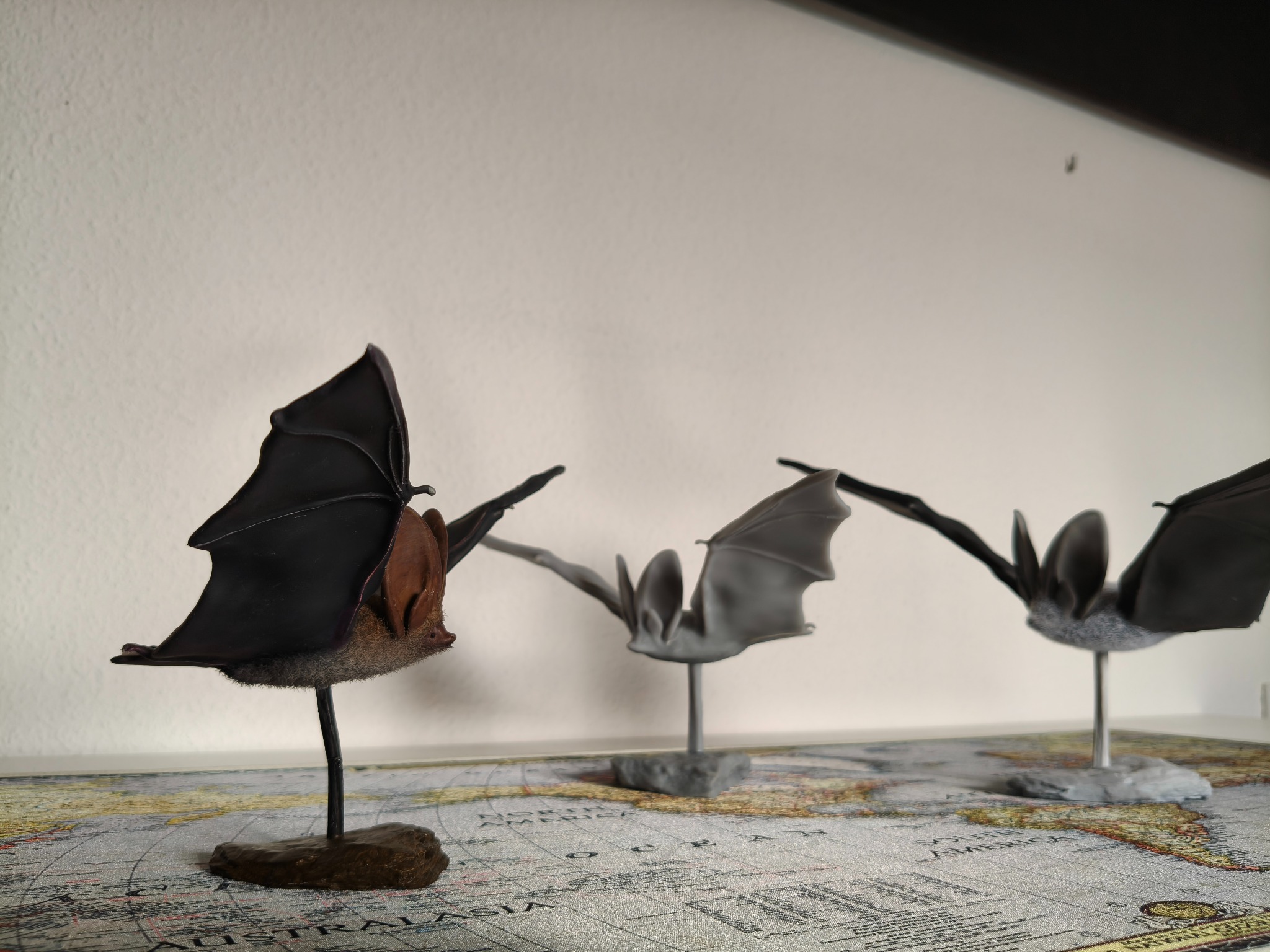 Three printed, hand-painted bat models from MuMa Bat 3D Collection on exhibition stands.