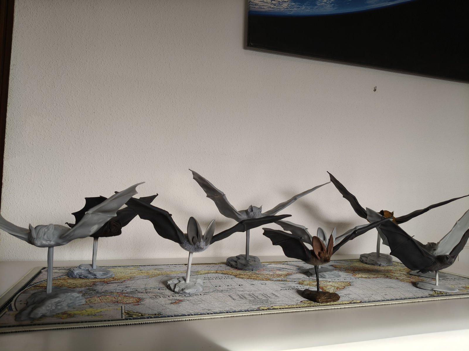 Modelos de murciélagos de MuMa Bat 3D Collection expuestos sobre soportes.