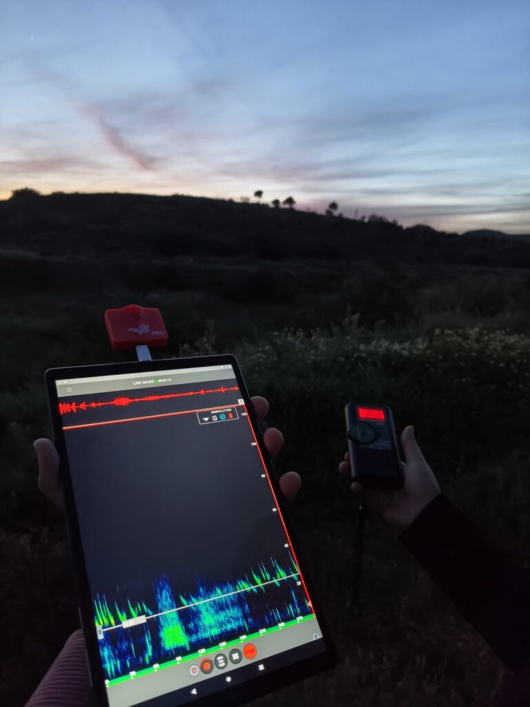 Tableta con oscilograma y espectrograma junto a un detector de ultrasonidos durante un muestreo al atardecer.