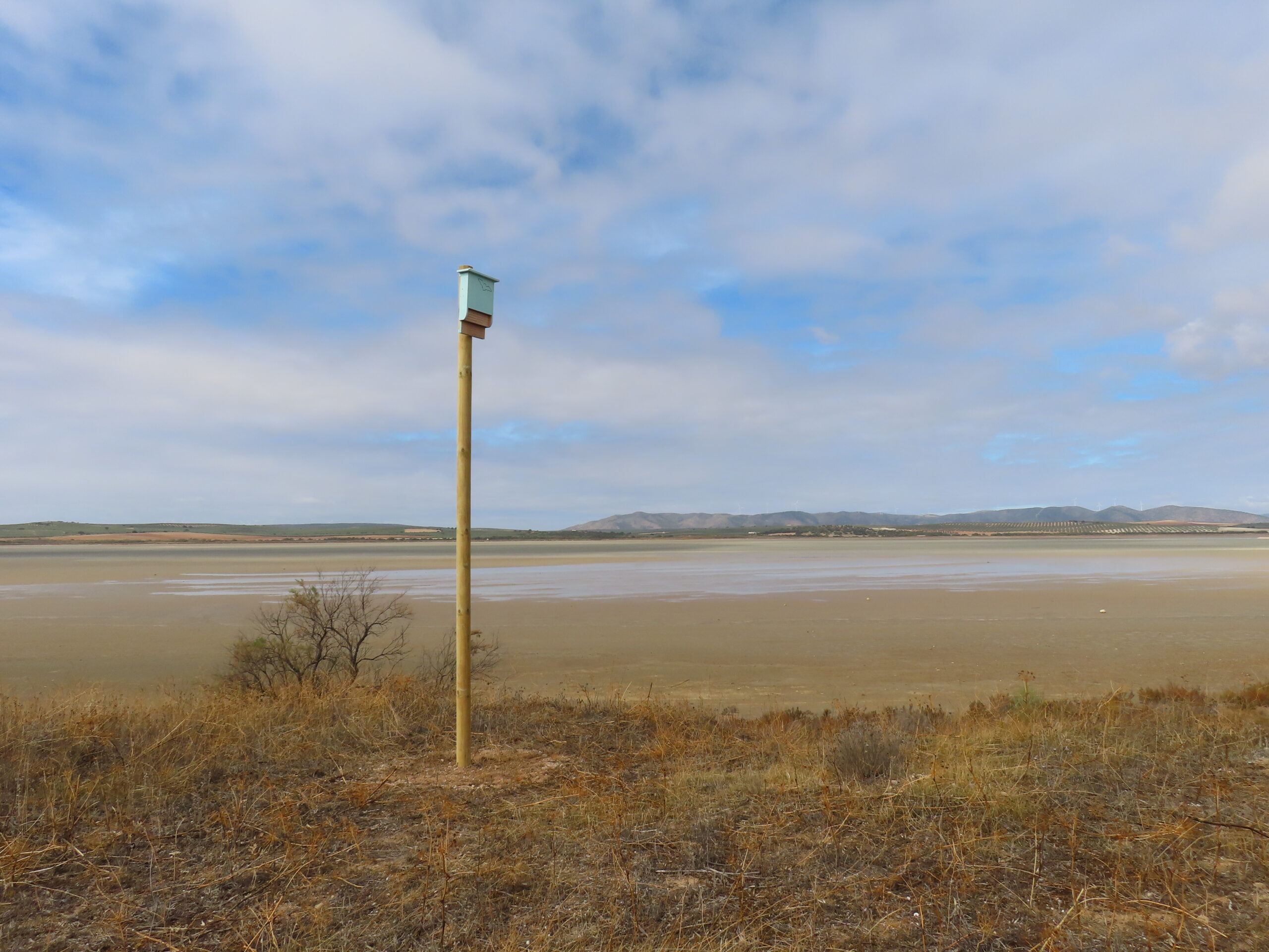 Refugio para murciélagos sobre un poste junto a la laguna de Fuente de Piedra.