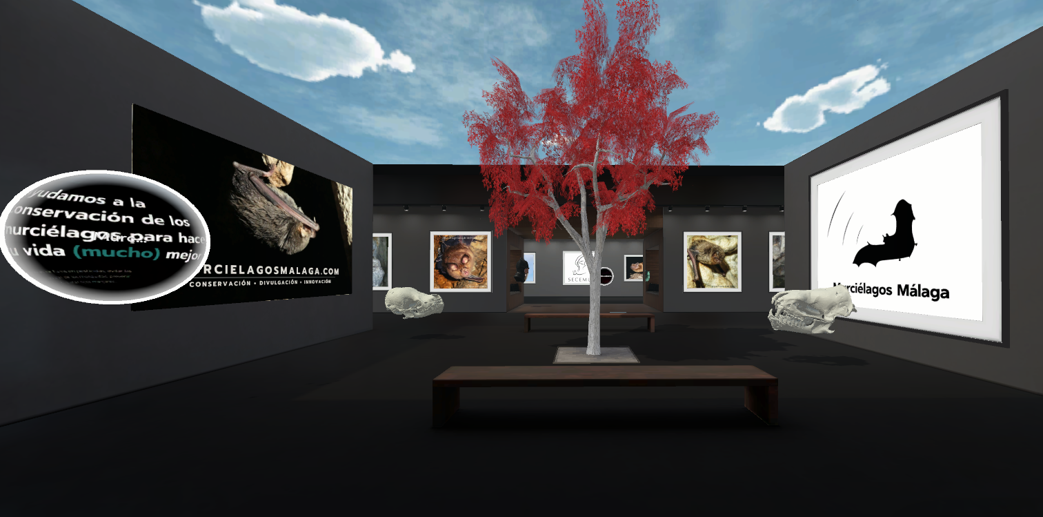 Vista del Museo Virtual MUMA original, con paneles y modelos tridimensionales de murciélagos.
