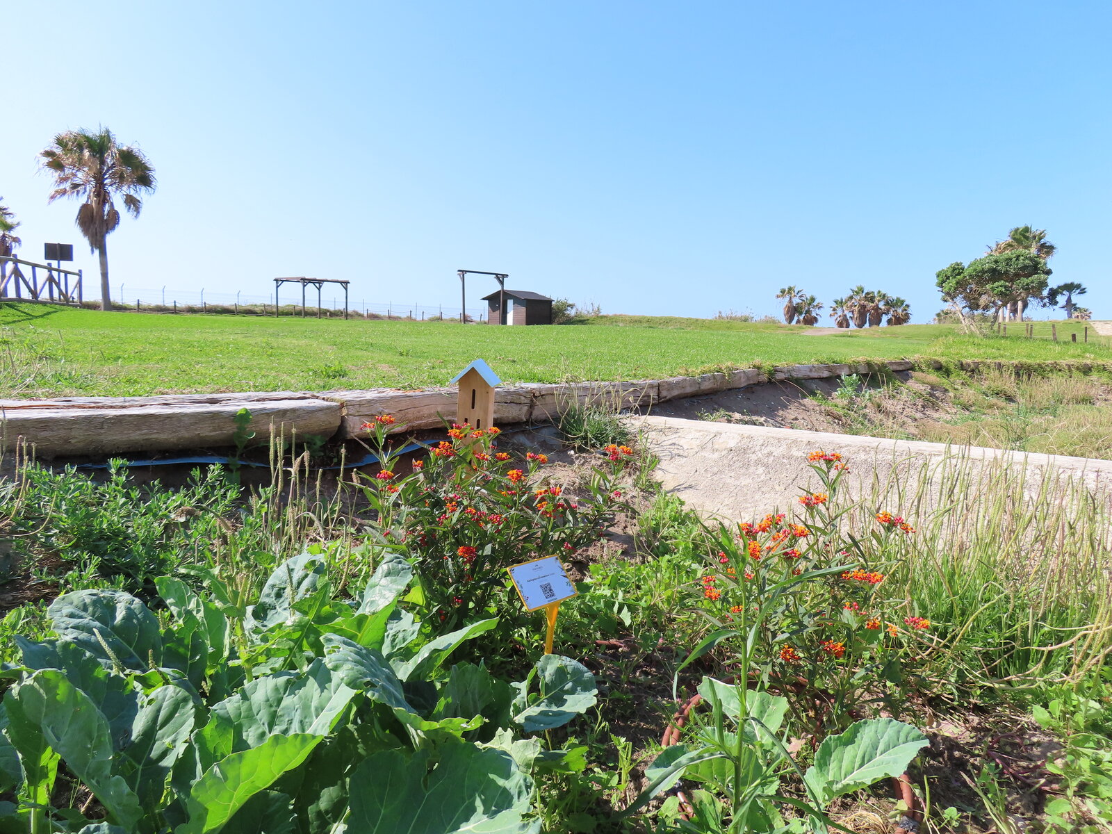 Vegetación y refugio de fauna en una zona de biodiversidad del Parador Málaga Golf.