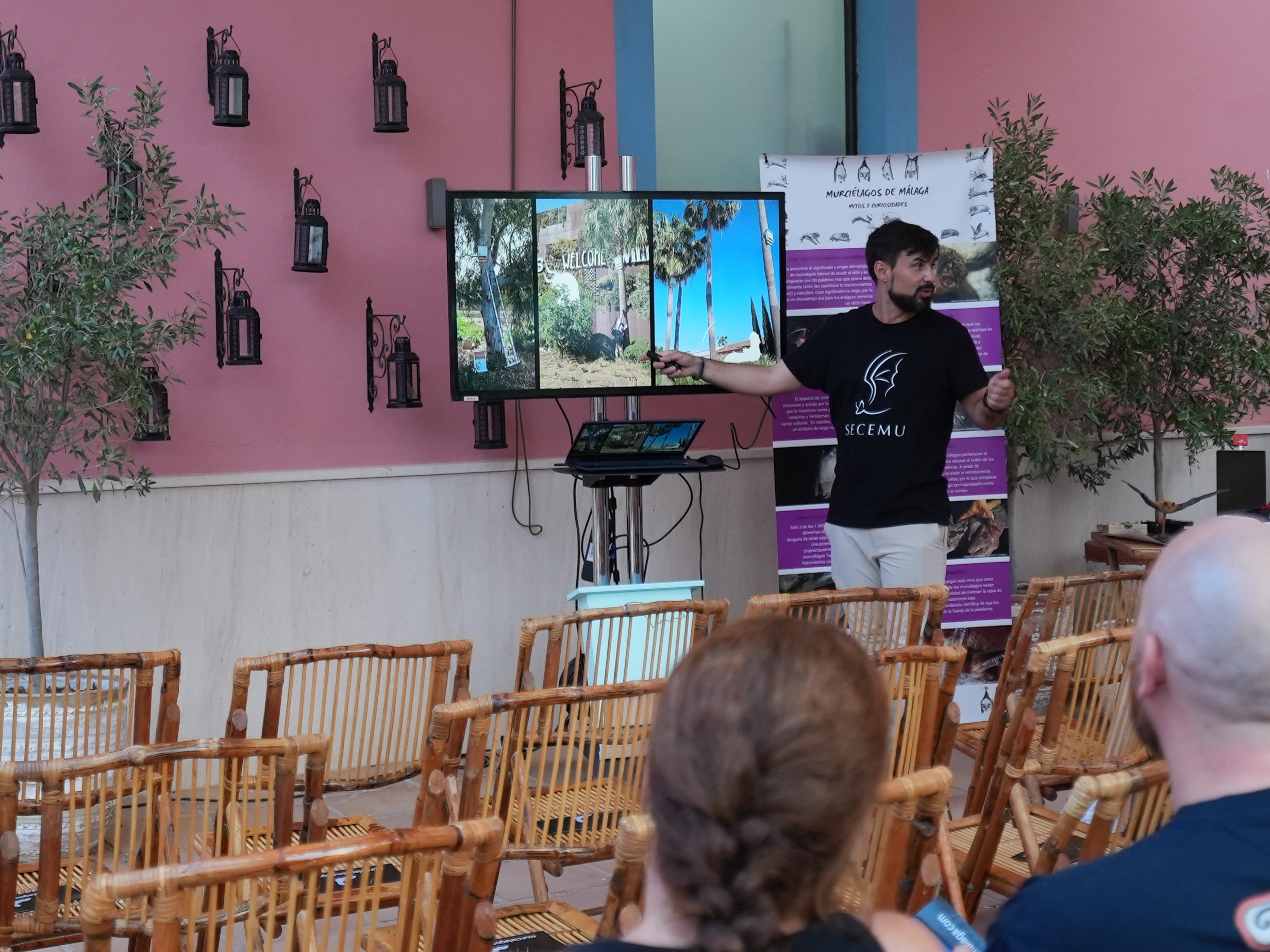 Charla sobre murciélagos con material audiovisual en Plaza Mayor.