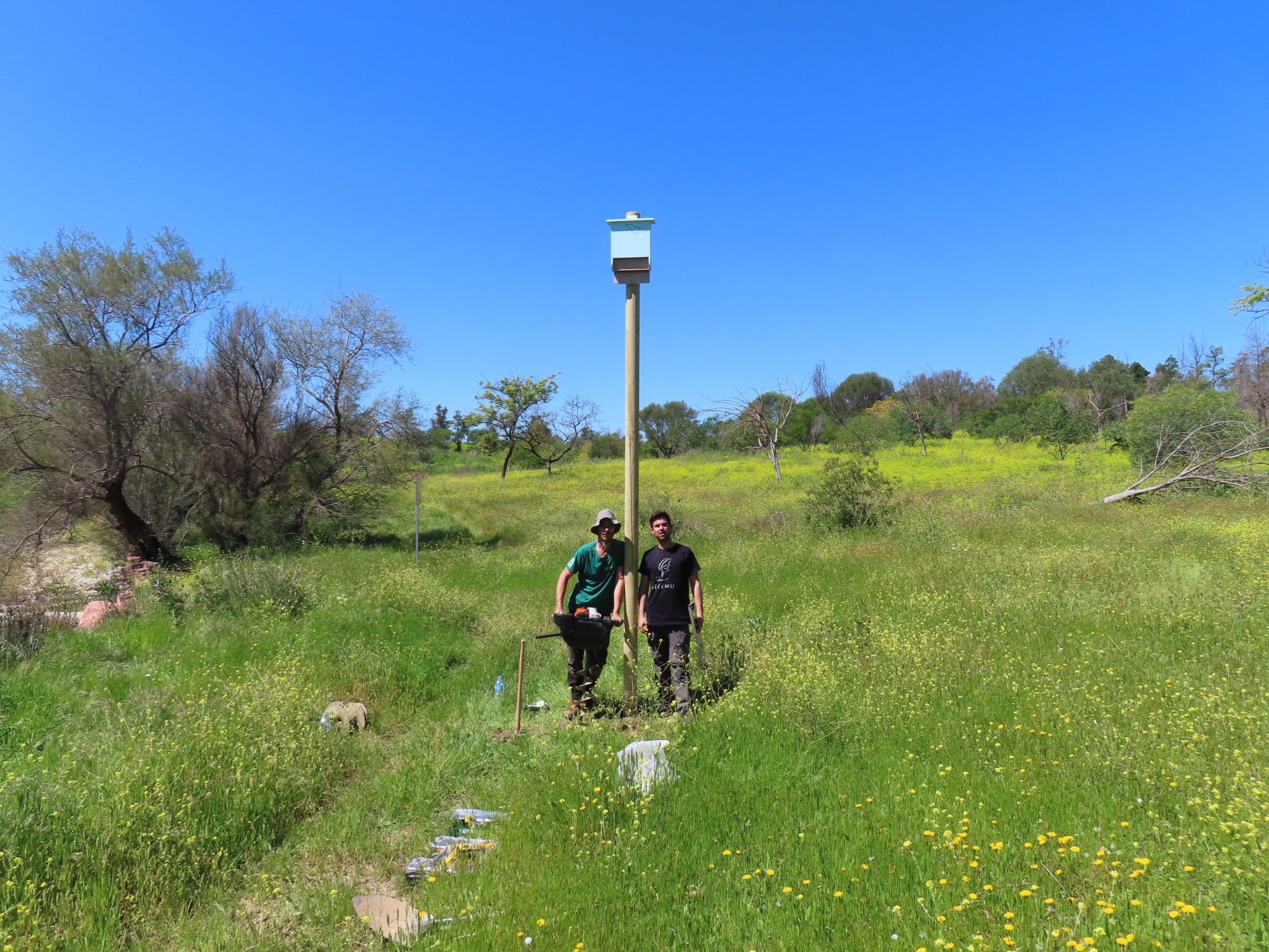 Team beside a pole-mounted bat box at Málaga TechPark.