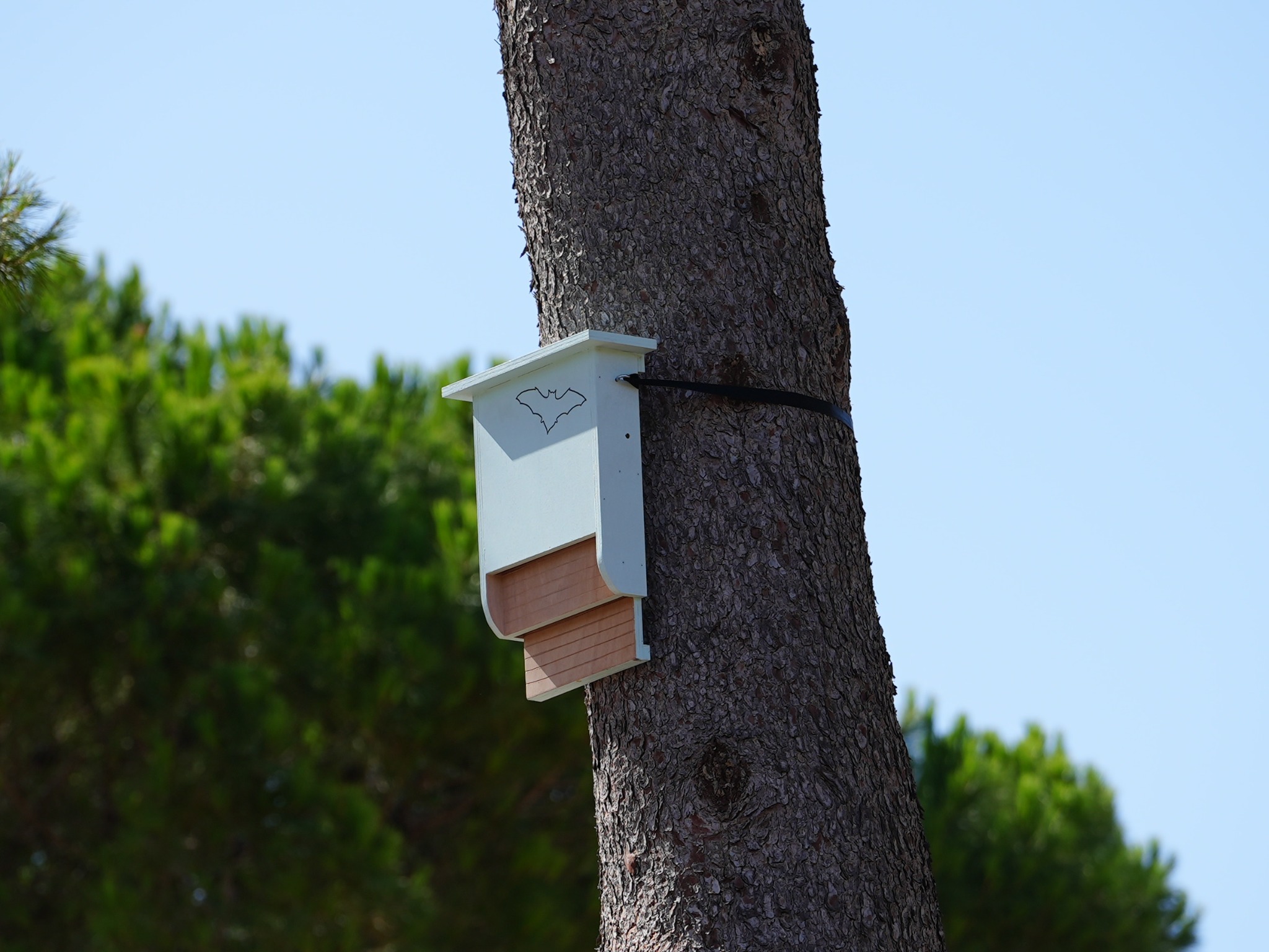 Refugio MuMa de madera fijado al tronco de un pino