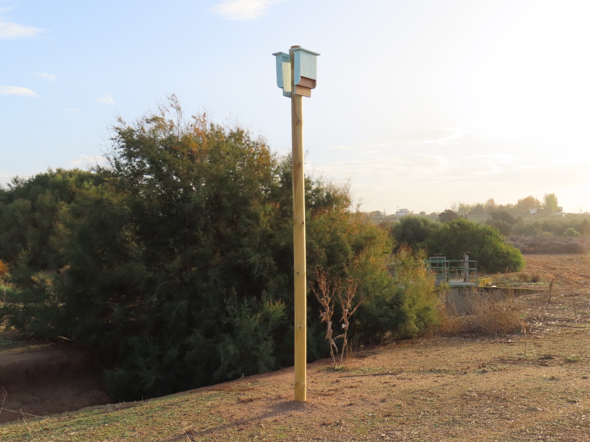Poste con dos refugios para murciélagos en la Laguna de Fuente de Piedra