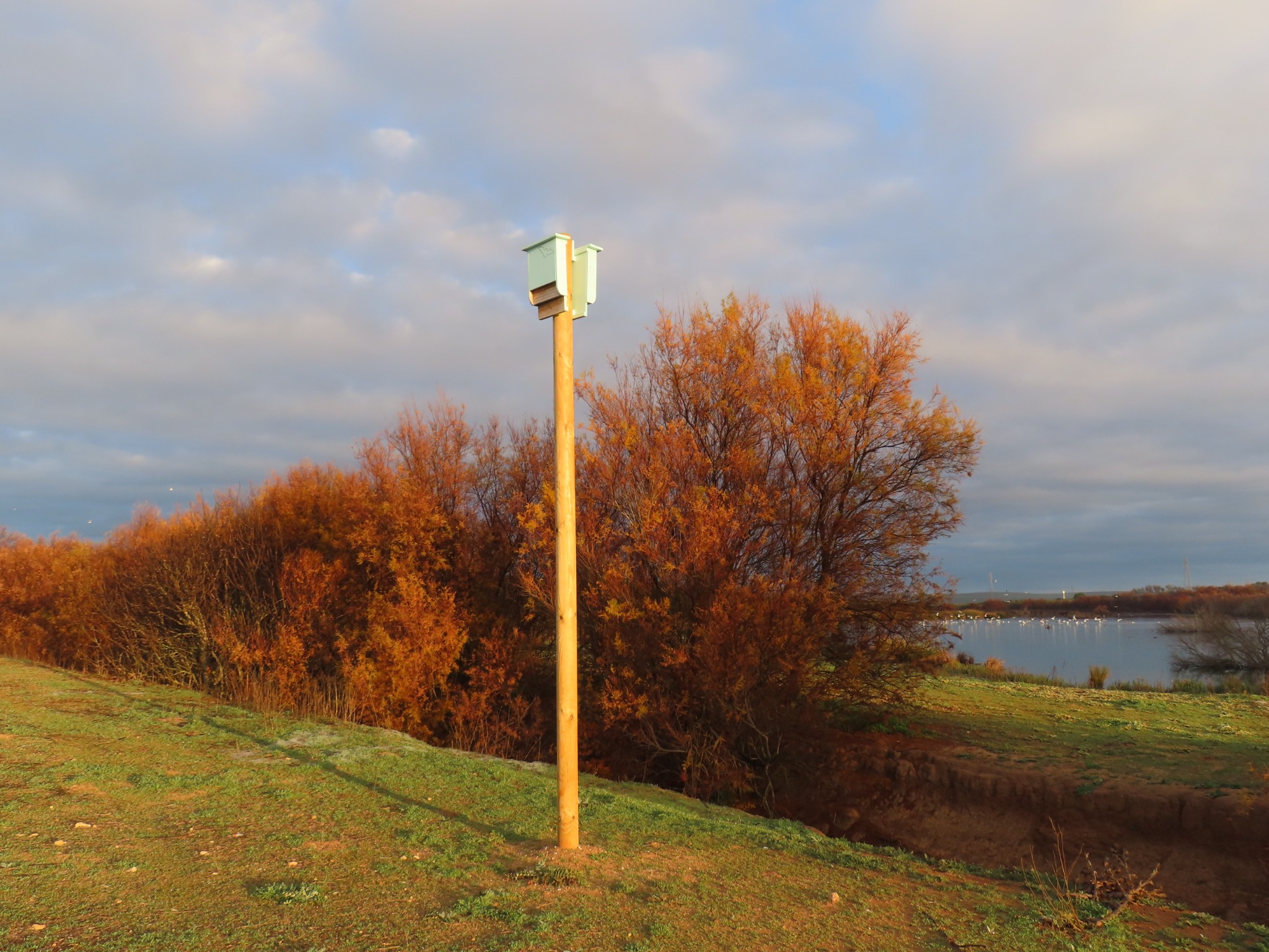 Dos refugios MuMa sobre un poste junto a la Laguna de Fuente de Piedra