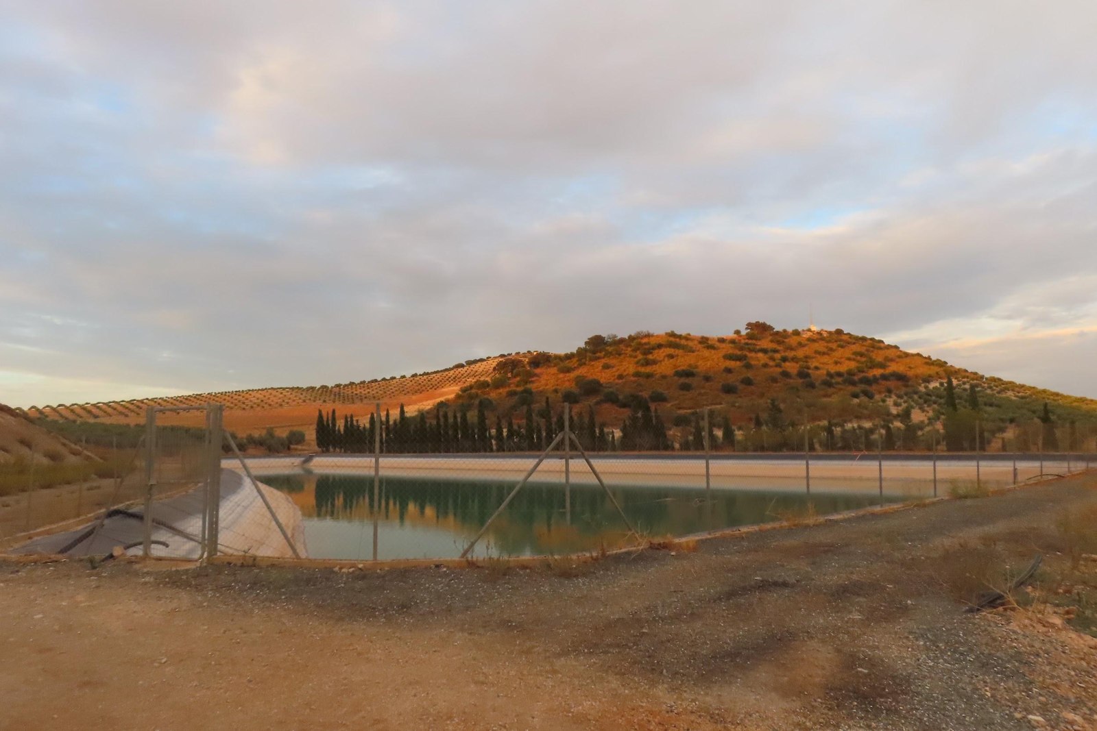 Balsa de agua y paisaje agrícola inspeccionados durante el seguimiento de Guadacano.