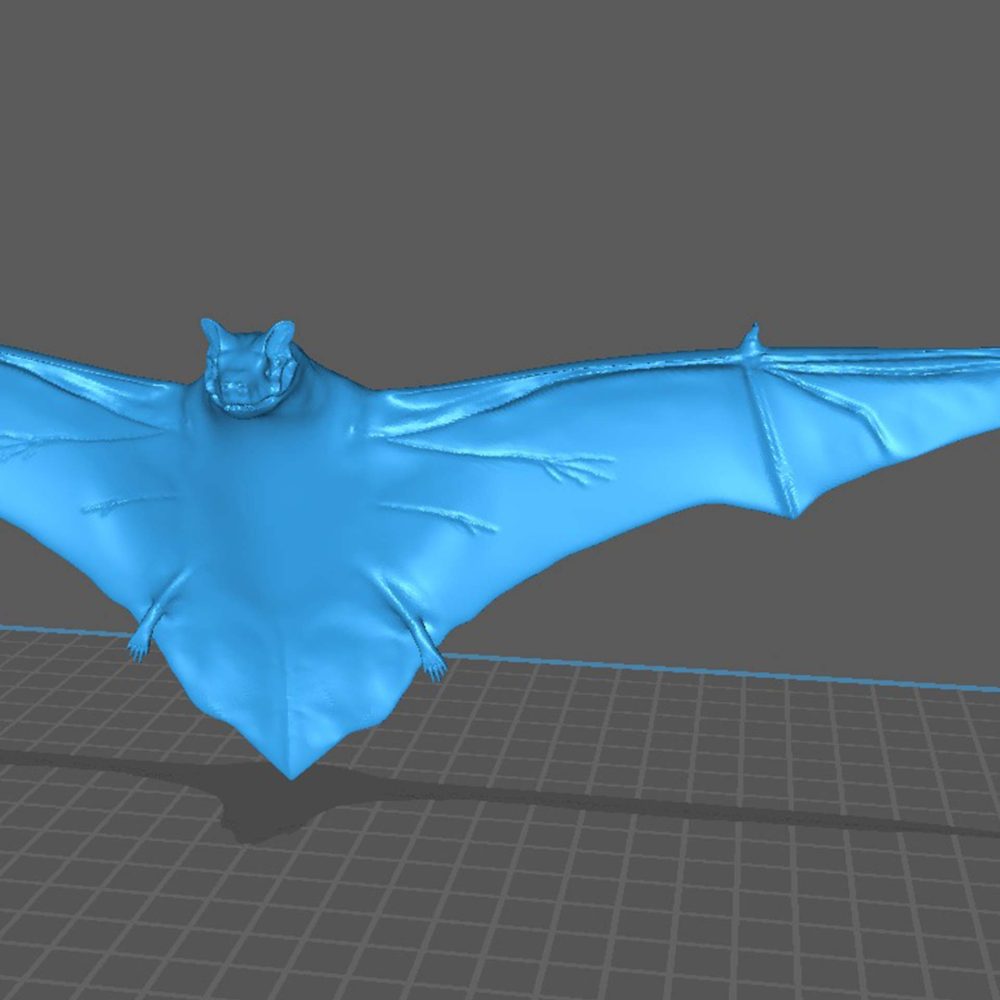 Render Murciélago