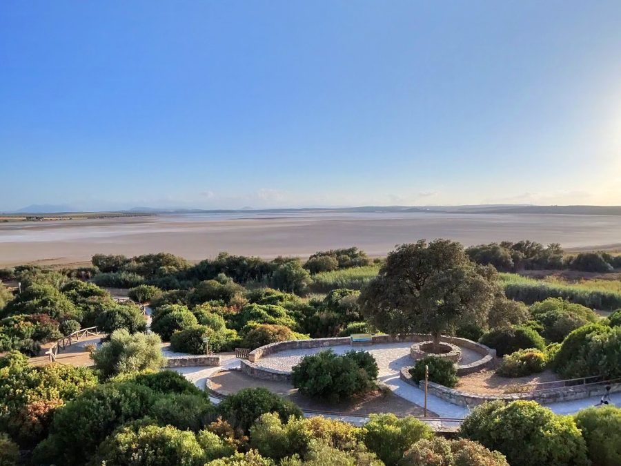 Vista de la laguna de Fuente de Piedra y la vegetación de su entorno durante el seguimiento de agosto de 2026.