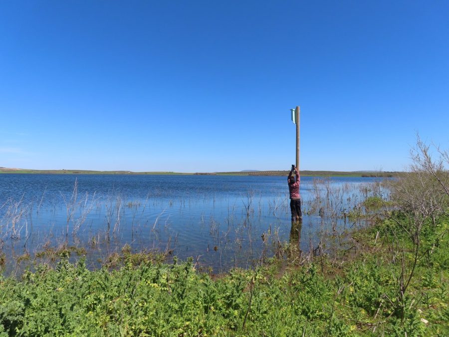 Trabajo de campo junto al refugio RQ17, instalado sobre un poste rodeado de agua en la Laguna Dulce de Campillos.